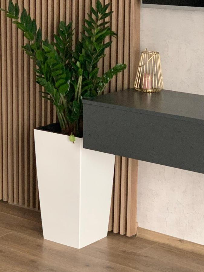 Apartament Anda Mamaja Zewnętrze zdjęcie